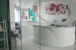 【7分钟科普下】丽江最大的公司_哔哩哔哩-3